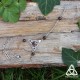 Bracelet de main médiéval féerique Triquetra noeud Celtique triangle infini argenté et pierre fine Grenat rouge bijou wicca