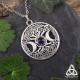 Collier ésotérique SorcièreArbre de Vie argenté et Triple Lune ornée d'un Pentagramme sur lequel se trouve une Améthyste.