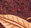 Fond marron et motif naturel
